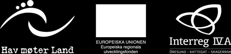 Klimatanpassning i kustzonen Stigande vatten (2011 Länsstyrelserna i Västra Götaland och Värmland) är en handbok som sätter fokus på problematiken med översvämningshantering och har ökat