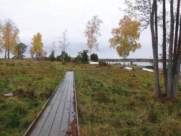 Täthetsanalys Karlstads kommun Gräns stad och landsbygd MUNKFORS HAGFORS Gräsmången Gruppering antal hus/ha Fastighetskartan 1-2 3-5 6-10 11-50 >50 SUNNE Örtensjöområdet - naturturism Mjönäs Östanås