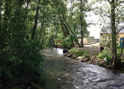 Marken runt denna delen av sjön är också kuperad och i princip helt i avsaknad av befintlig bebyggelse. Runt Molkomsjön föreslås fem LIS-områden.