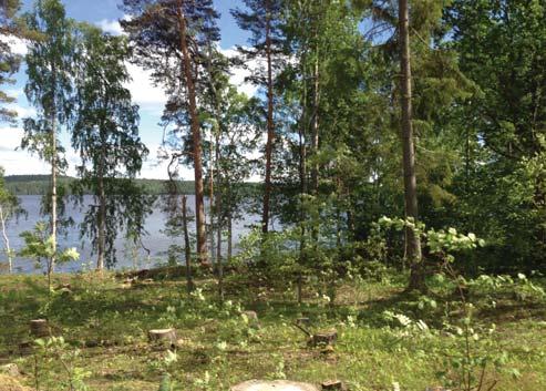 Krakerud bedöms kunna kompletteras med ett fåtal nya hus inom strandskyddat område.