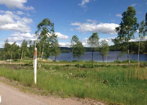Platsbeskrivning Allmän beskrivning Borssjön ligger söder om rv 63 och öster om lv 240, omedelbart öster om Molkom samhälle.