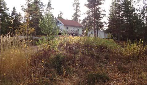 Göviken (N) LIS-område Typ Area, totalt Area, land Strandlängd Intressen Göviken N (BL) 0 125 250 500 m Kartan framställd av Kart- och GIS-gruppen, stadsbyggnadsförvaltningen Karlstads kommun