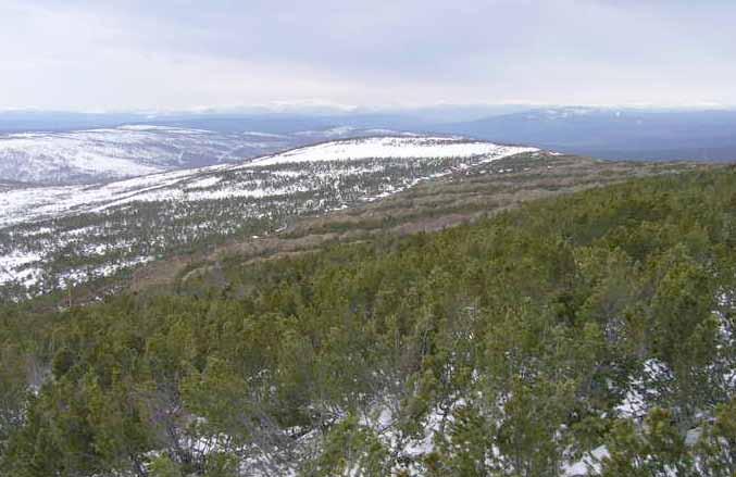 miljö Miljökrav uppfylls i linje med internationell best practice Kopy Goldfields eftersträvar att hantera miljöpåverkan från verksamhet i enlighet med internationell best practice.