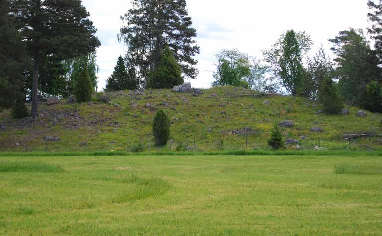 Allmänna intressen natur och friluftsliv 139 En av översiktsplanens strategier är att säkra värdefull natur. Bilden visar Kolbosvedens hagmark, ett av Natura 2000-områdena i kommunen.