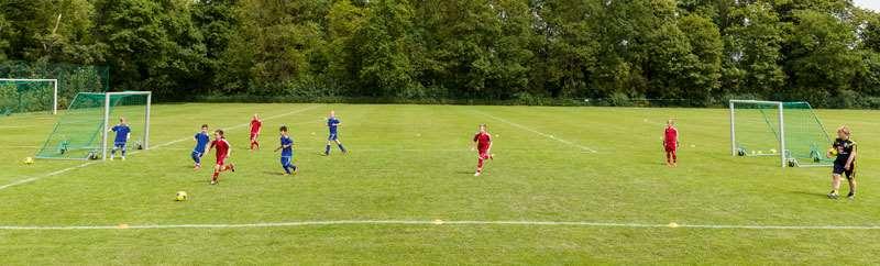 28 TRÄNINGSPROGRAM 6-9 ÅR SPELÖVNING 2 VAD? Anfallsspel. Speluppbyggnad utmana, finta och dribbla. VARFÖR?