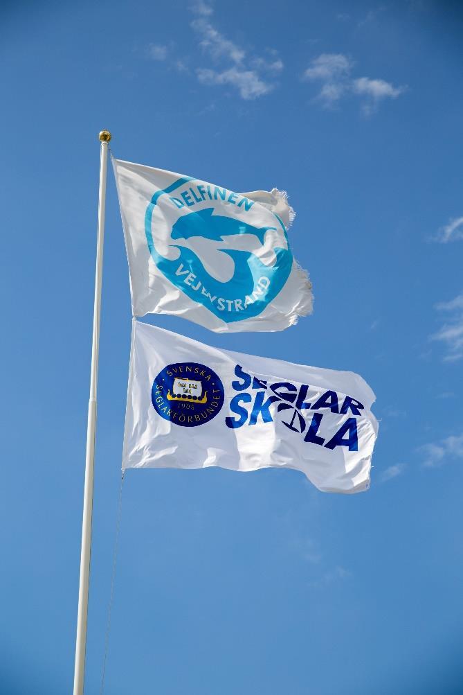 Inbjudan till SS Delfinens seglarskola 2018 Segla med SS Delfinen Vejbystrand under veckorna 27, 28, 29, 30 och 31 SS Delfinen har sedan många år tillbaka en uppskattad seglarskola på sommaren.