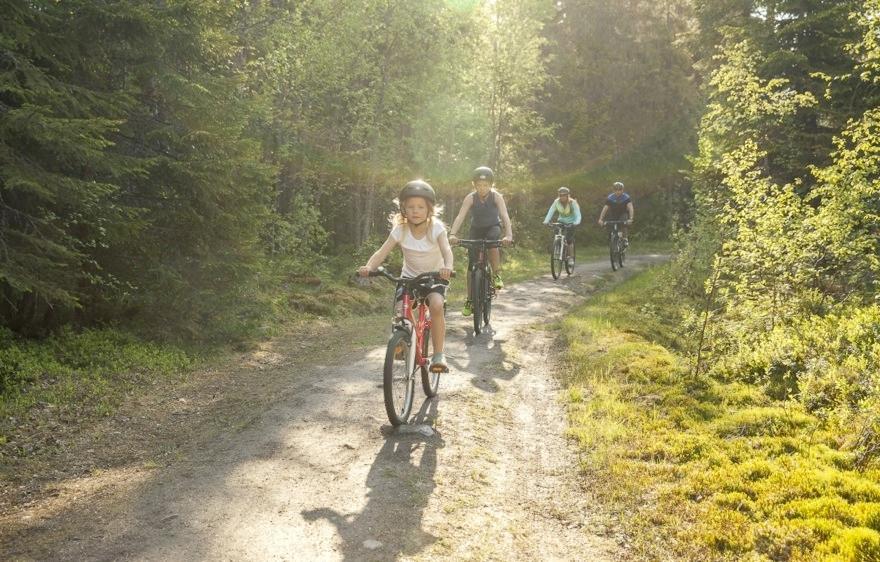 Lands/ngets vision År 2020 har Västerbo)en