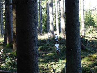 Krondroppsnätet Gunilla Pihl Karlsson, Cecilia Akselsson 1), Sofie