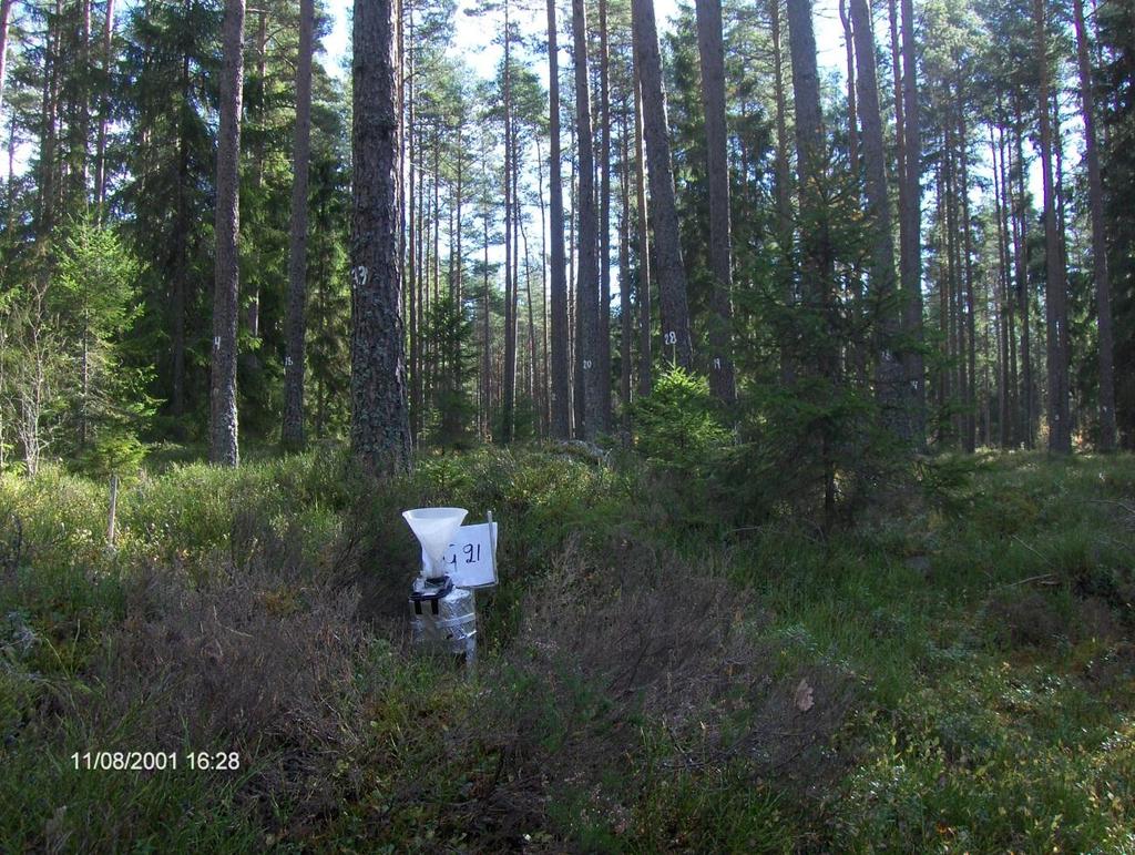 Tillståndet i skogsmiljön i Kronobergs län Resultat från Krondroppsnätet tom september 2011 IVL rapport B 2040 Attsjö (G 21): Yta med drygt 90-årig tallskog två mil öster om Växjö Beståndet ligger i