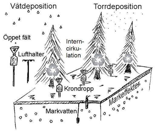 Tillståndet i skogsmiljön i Kronobergs län Resultat från Krondroppsnätet tom september 2011 IVL rapport B 2040 Mätningar inom Krondroppsnätet Mätningarna inom Krondroppsnätet bedrivs i 4-åriga