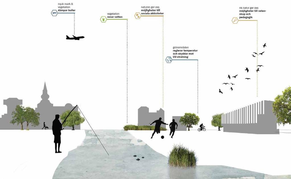 1.4 Värden i grön- och blåstrukturen? Det samlande begreppet ekosystemtjänster rymmer de nyttor som människan har av ekosystemen.