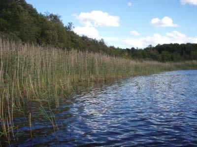Bilder 8 och 9. Lokalerna S och N Kyrksjön.