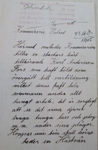 Plågad häst vid Fors För nästan exakt 100 år sedan registrerade kronolänsman Wahlroth i Mulsta denna inkommande skrivelse i sitt diarium.