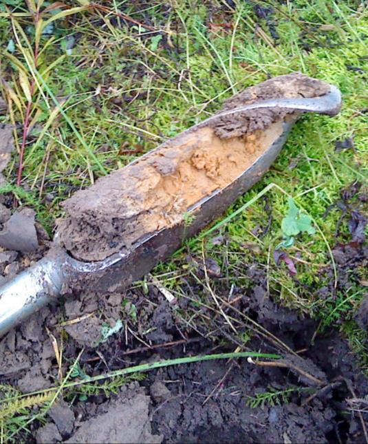 6.5 Exploaterad eller orörd mark I projektets utredningsmaterial framkommer att en stor andel av de gamla handelsträdgårdarna har exploaterats på något sätt (Avsnitt 4.3).