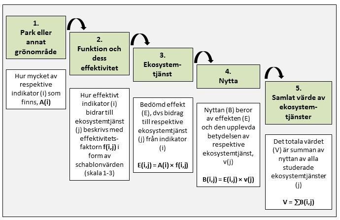 ÖVERGRIPANDE BESKRIVNING AV METODEN Metoden, som visas övergripande i figur 1, bygger på den s k kaskadmodellen för ekosystemtjänster som tagits fram av Potschin och Haines-Young (finns bland annat