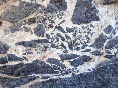 Ibland kan de sönderrivna fragmenten läkas ihop av yngre mineral (Figur 5). Sådana läkta breccior finns över hela Skåne, men kan vara lite svåra att se.
