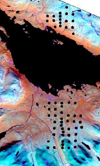 Fjällvegetationsklassning med satellit + laserdata Vegetationsklasser