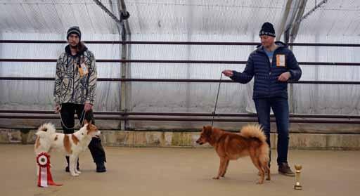 Hund Ägare Klass kv kk bhkl btkl Tålsmarks Tufva Jan & Britta Stormare Valp 1 HP, BIR valp Raolex Patu Robin Edlund Jun E 2 Kolåsens Arrak Andreas Grufvisare Jun E 1 Buskuddens Ricky Gunilla
