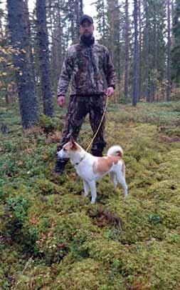 UTSTÄLLNING Under 2016 hölls årets hundutställning i Bredbyn. Där deltog totalt 24 hundar varav tio norrbottenspetsar och fjorton finska spetsar.