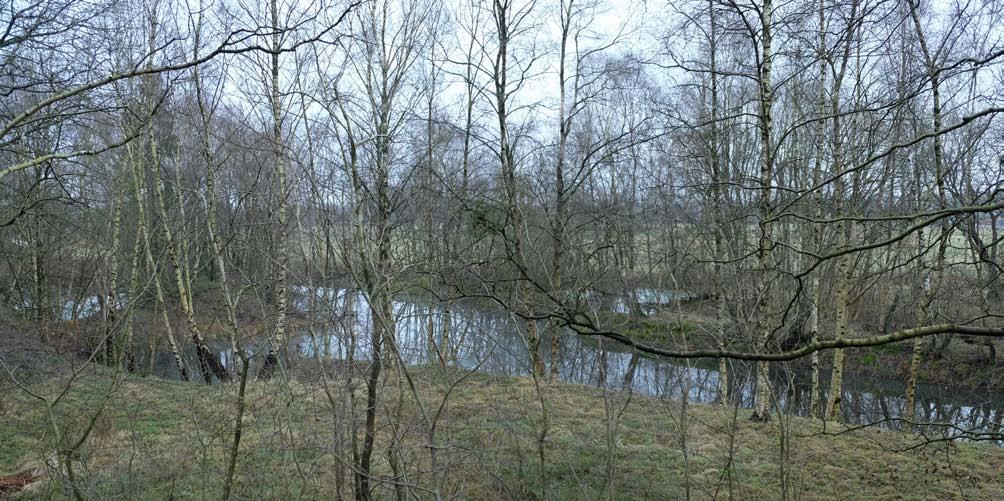 Höganäsbolaget hade rätten att utan varsel uppsäga avtalen utan att privatbrytaren kunde kräva skadestånd.