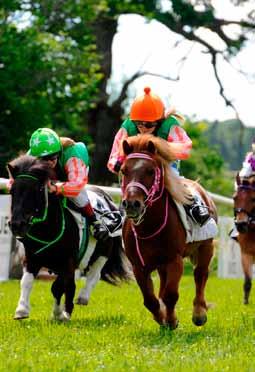 GÖTEBORG GALOPP Tävlingarna arrangeras av Svensk Galopp www.svenskgalopp.se e-post info@svenskgalopp.