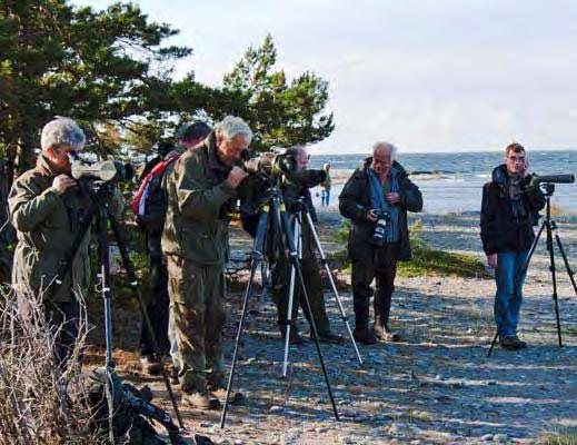 Sedan tar vi en promenad i området och spanar efter ormar, paddor, salamandrar och annat som rör sig. Vandringen avslutas vid Långängens fågeltorn, ca 12.00.