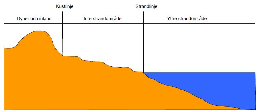 Figur 4-2. Illustration av indelning av en kuststräcka med dynlandskap.