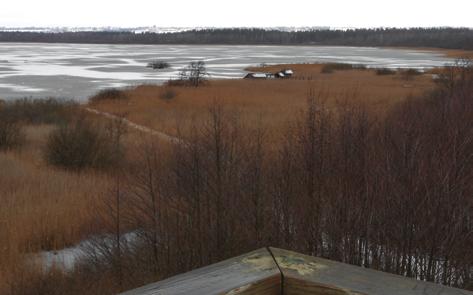 Utsikt över den isbelagda Krankesjön och gömslet i vassen från fågeltornet vid Silvåkra. Foto Sven Stridsberg. Vombs fure, och lokala dödisgropar blivit sjöar som Bysjön och Heljasjön vid Vombs by.