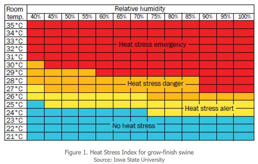 Figur 9. Exempel på stressindex. Diagram som visar graden av värmestress för slaktgrisar när det är varmt i stallet.