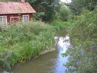 D5. Trosaån, Marieberg, SE653651-159858 Län: 4 Södermanland Beskuggning: 5-50 % Koordinater: 6536501/1598611 Datum: 2010-08-25 Provtagningsmetodik: SS-EN 13946 Provtagning: Björn Lagerdahl