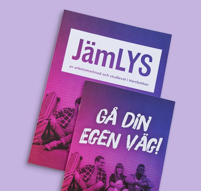 Material inom informationssatsningen: Jämställdhetsanalysen, populärbroschyren Gå din egen väg!