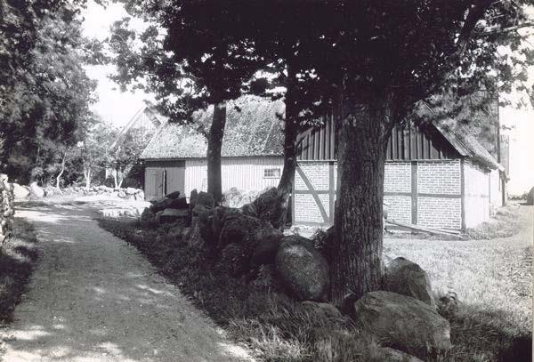 Infartsvägen till gården från bygatan. Till vänster skymtar boningshuset och till höger därom stallet med gadeporten.