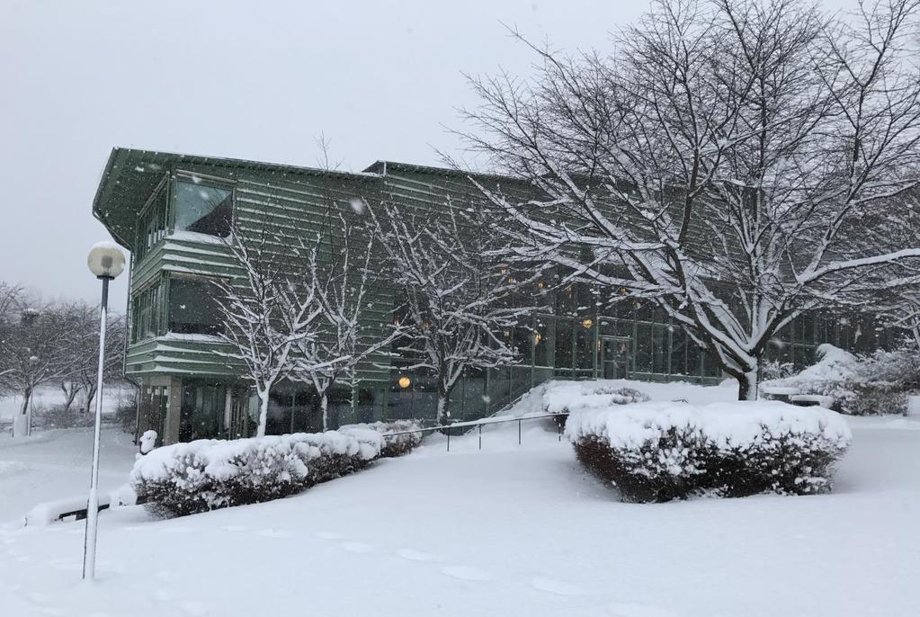 Geovetenskapens hus i Frescati.