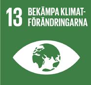 DE GLOBALA MÅLEN Vår utgångspunkt för hållbart företagande är att analysera och hantera affärsmöjligheter och risker inom för oss centrala hållbarhetsdimensioner.