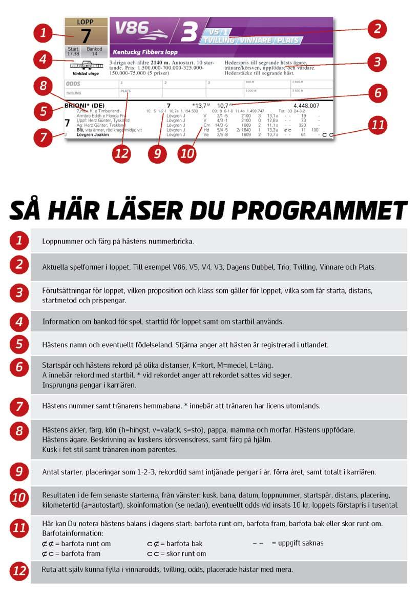 travexpertens tips V-förslaget Av Ken Karlsson V- Lo