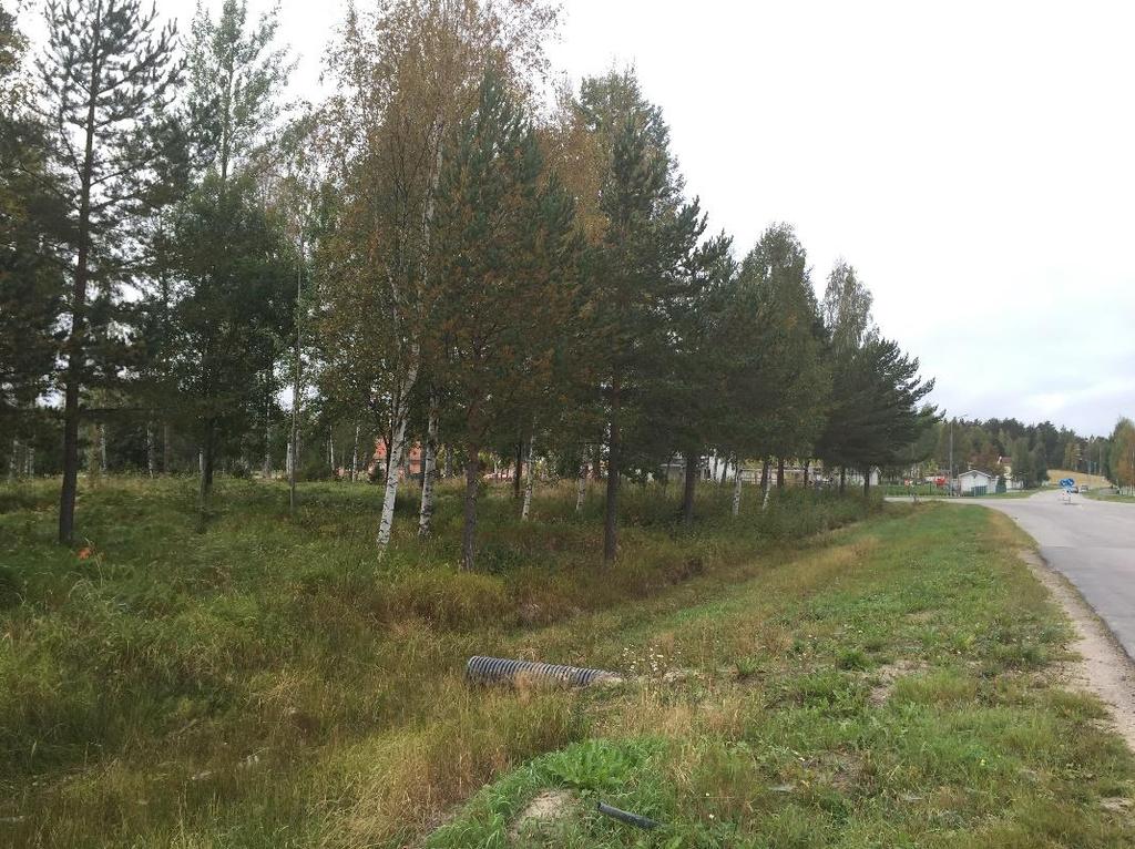 11 (16) korsprickade marken utmed Virvelvägen får carport och liknade byggnader uppföras. Grönstruktur Planområdet har god tillgång till natur- och grönområden, trots att planlagd parkmark minskas.