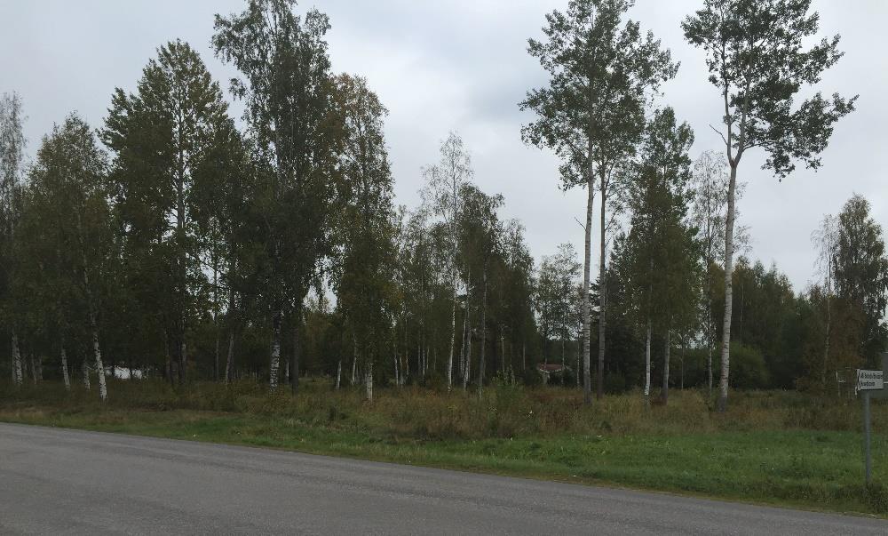 7 (16) De antagna strategierna i översiktsplanen anger att: kommunen vara proaktiv vad gäller mark- och planberedskap och byggklara tomter och byggrätter i antagna detaljplaner.