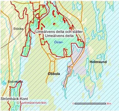 RAPPORT 15 (21) Figur 6 1 Umeälvens delta och slätter. SCA Obbolas verksamhet har tidigare inte bedömts medföra någon påverkan på Natura 2000 området.