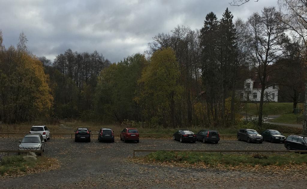 Planförslag Områdets disposition/sammanfattning Detaljplanen föreslår torg/parkering som angörs från Vedhyggevägen samt skoländamål på del av parkmark, Vedhyggevägen och Pluggvägen.