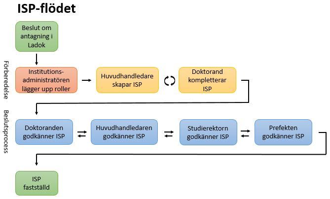 doktorand/huvudhandledare i studieplanen. Behöver en studierektor bytas ut görs detta vid revidering av studieplanen.