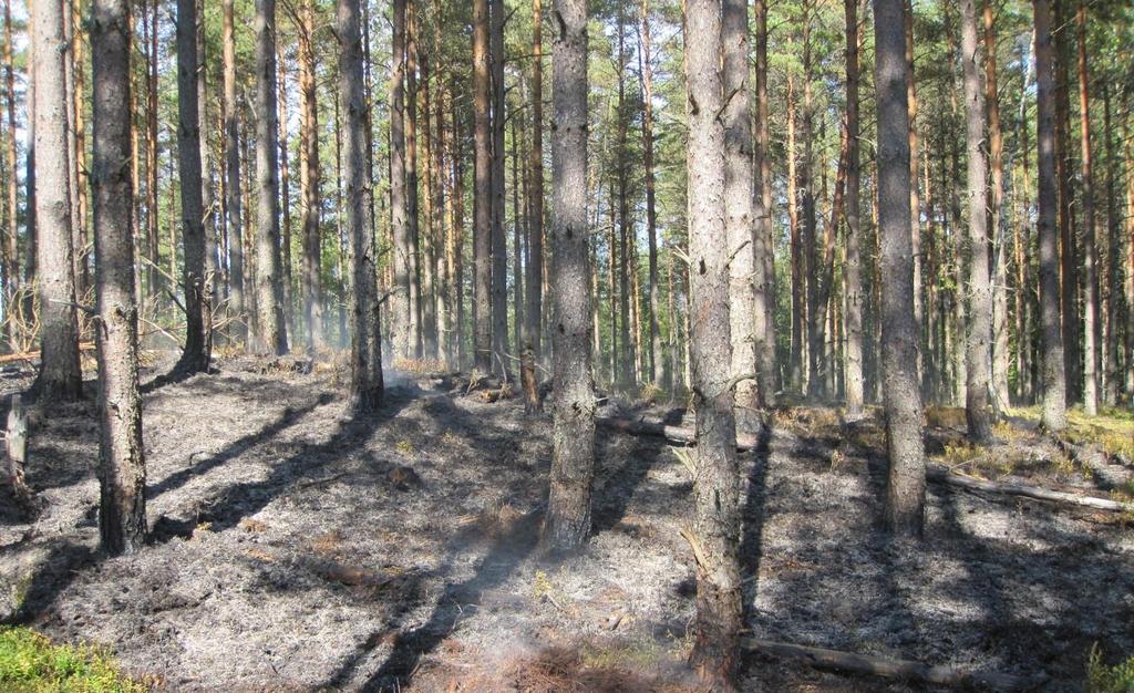 Öppna jämförelser för trygghet och säkerhet Inom räddningstjänsten i Habo kommun har vi i många år arbetat med att mäta och jämföra utfall och resurser med andra organisationer.