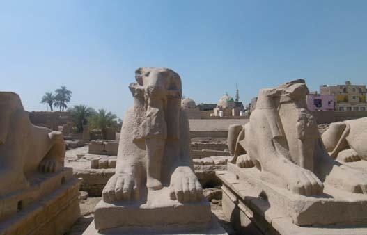 VYKORTET FRÅN EGYPTEN JAANA, PERNILLA & ANNIKA Egypten är defini vt e land som man vill besöka om man vill uppleva pyramiderna och konungarnas dal. En vecka med sol och bad är inte fel!