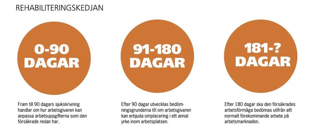 REHAB OCH HÄLSA Rehabiliteringskedjan fungerar bra i bruket och en ru n är skriven för flera år sen.