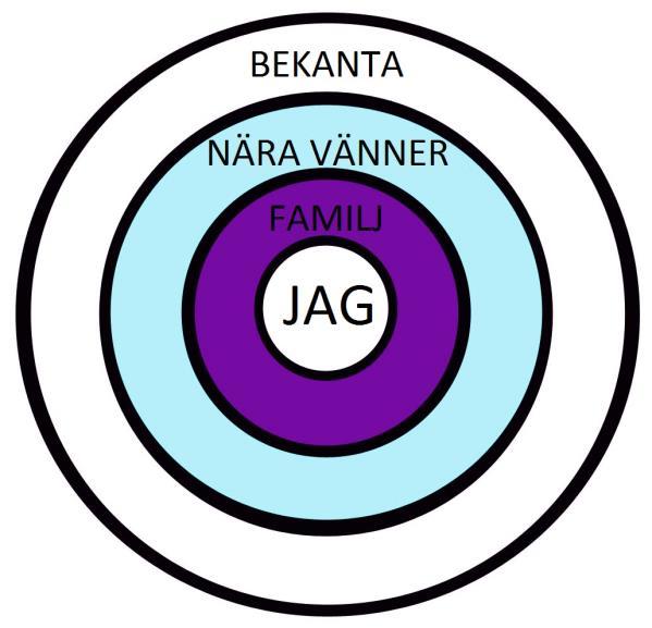 Strategier Anpassa det som ej funkar Relationscirklar Vem pratar jag