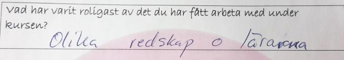 Fråga tre, fyra, fem och sex redovisas de vanligaste svaren som procent. (Se bilaga 3) Ett urval av svar och kommentarer från utvärderingarna.