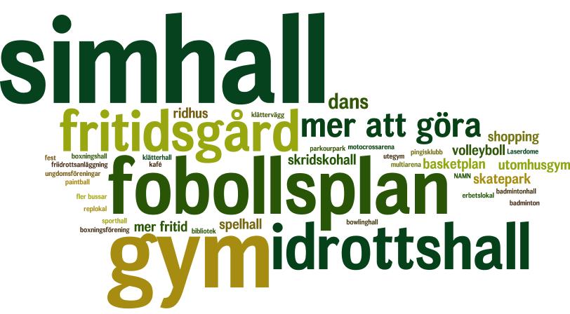 SAKNAS NÅGON ANLÄGGNING Fråga: Saknar du någon typ av anläggning eller fritidsaktivitet där du bor? Vilken/vad? Frågan besvarades helt öppet.