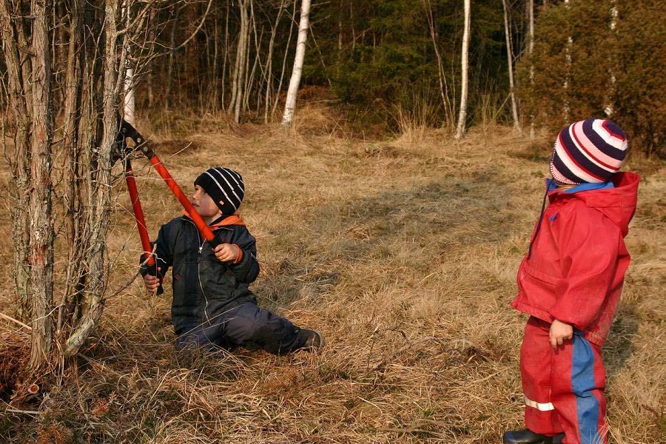 Våra viktigaste känslomässiga behov: Trygghet och säkerhet Självkänsla och känslan av