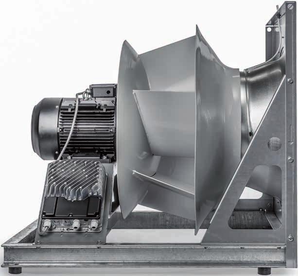 MED C-MOTOR