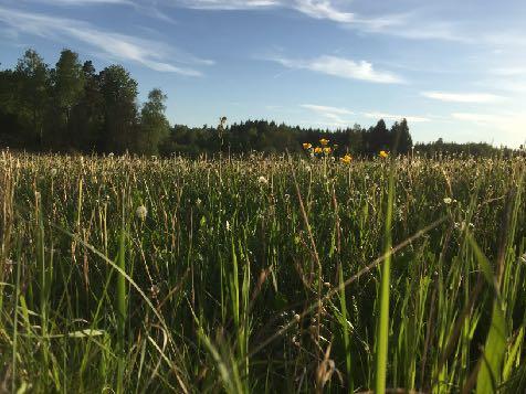 medlemmar i Uppsala län får support av sitt länsförbund för att göra ideella insatser i sin lokala krets för att bidra till kommunernas miljömålsarbete.