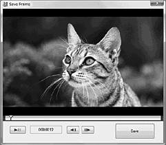 Om du vill markera flera filmer håller du Ctrl-tangenten nedtryckt och klickar på miniatyrbilderna. 4 Klicka på [Skapa DVD- Video (STD)] högst upp i fönstret.